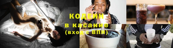 шишки Магас