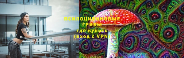 гашик Медвежьегорск