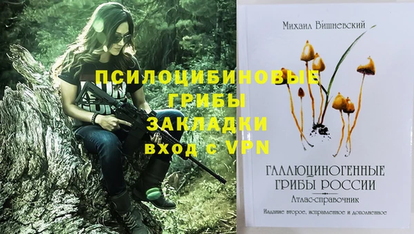 гашик Медвежьегорск