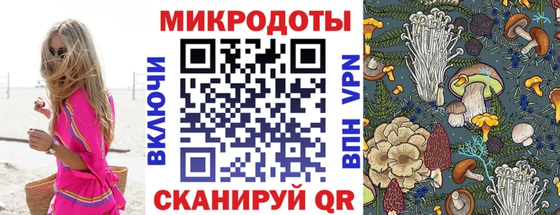 купить   shop официальный сайт  Галлюциногенные грибы Psilocybine cubensis  Кировград 
